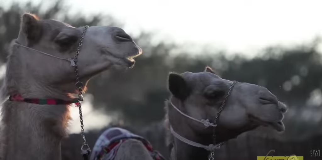 Screen Shot 2023-05-09 at 1.20.07 PM